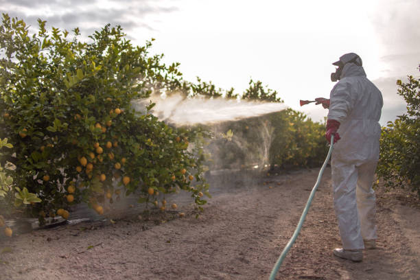 Pest Control for Restaurants in Bentleyville, PA