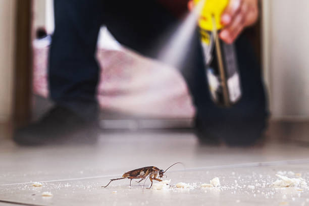 Best Pest Control Near Me  in Bentleyville, PA