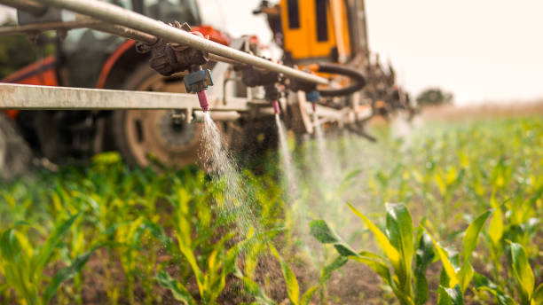 Best Ant Control Services  in Bentleyville, PA